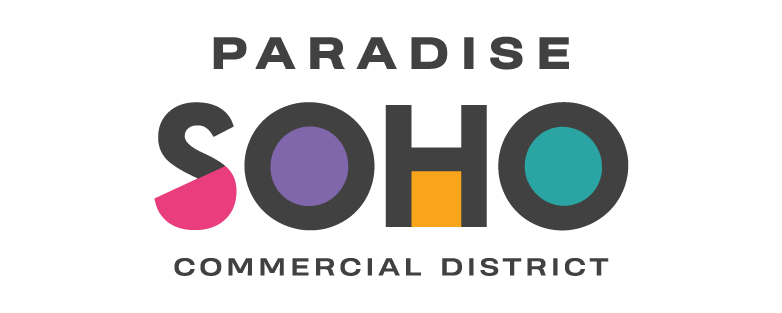 IX - SOHO-3 IX - SOHO-3